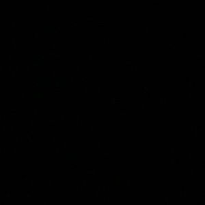 Meet your Posher, Reginald